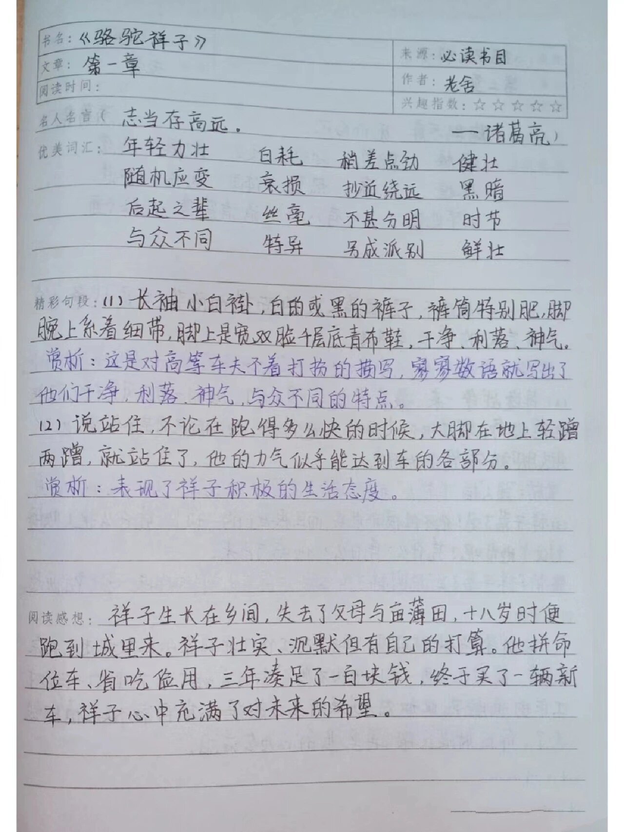 骆驼祥子章节读书笔记